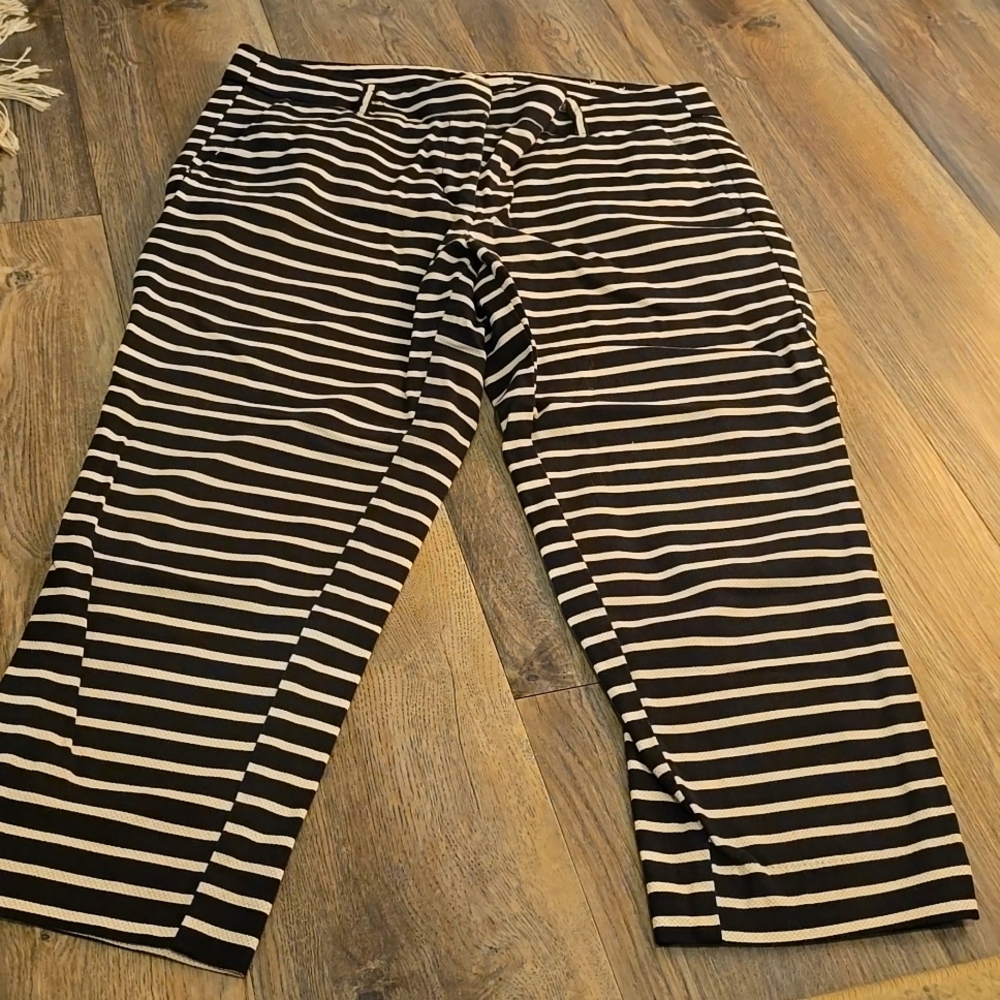 Ann Taylor Marisa 12P Pants
